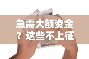 急需大额资金？这些不上征信的贷款平台值得了解