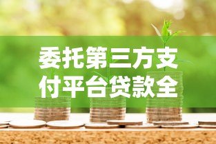 委托第三方支付平台贷款全攻略:流程、风险与注意事项 委托第三方支付平台贷款全攻略:流程、风险与注意事项