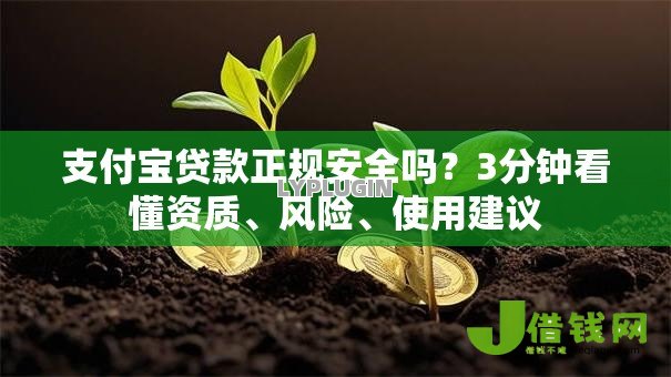 支付宝贷款正规安全吗?3分钟看懂资质、风险、使用建议 支付宝贷款正规安全吗?3分钟看懂资质、风险、使用建议