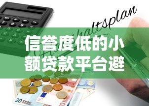信誉度低的小额贷款平台避坑指南：如何识别风险