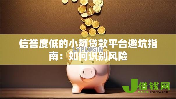 信誉度低的小额贷款平台避坑指南：如何识别风险