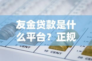 友金贷款是什么平台?正规靠谱的网贷选择指南 友金贷款是什么平台?正规靠谱的网贷选择指南
