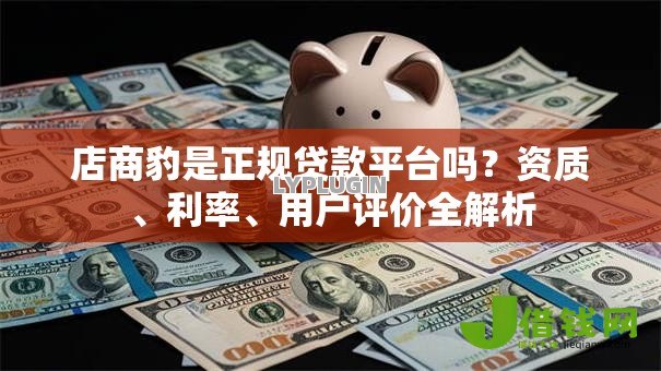 店商豹是正规贷款平台吗？资质、利率、用户评价全解析
