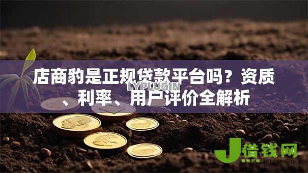 店商豹是正规贷款平台吗？资质、利率、用户评价全解析