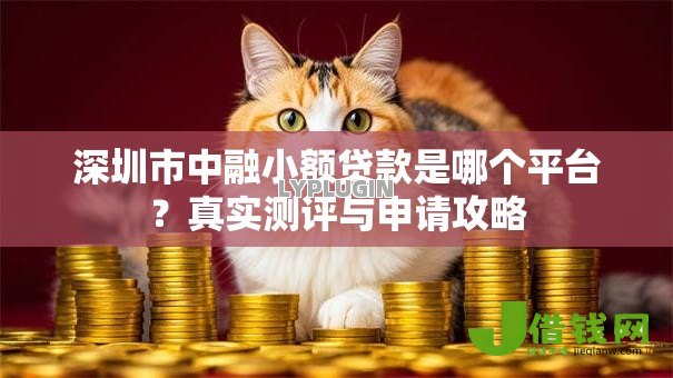 深圳市中融小额贷款是哪个平台?真实测评与申请攻略 深圳市中融小额贷款是哪个平台?真实测评与申请攻略
