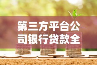 第三方平台公司银行贷款全攻略：申请流程与注意事项
