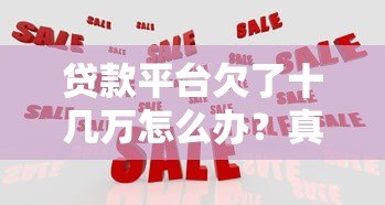 贷款平台欠了十几万怎么办？真实应对策略解析