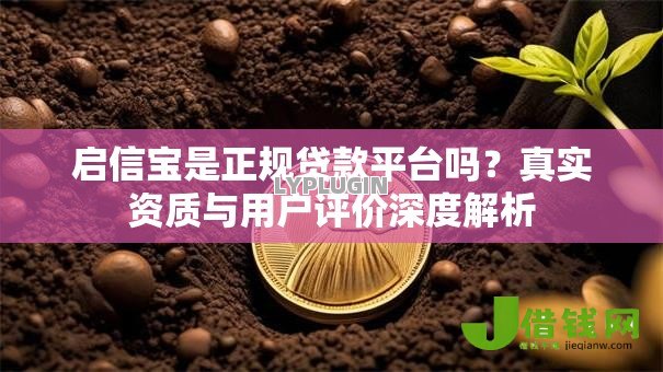 启信宝是正规贷款平台吗？真实资质与用户评价深度解析
