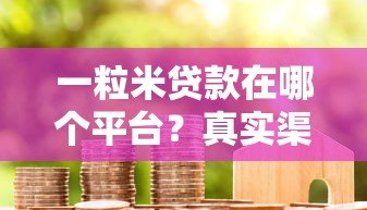 一粒米贷款在哪个平台？真实渠道解析及使用指南