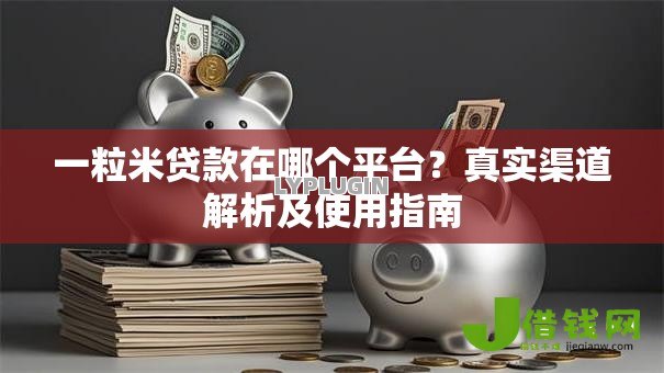 一粒米贷款在哪个平台？真实渠道解析及使用指南