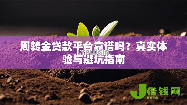周转金贷款平台靠谱吗？真实体验与避坑指南