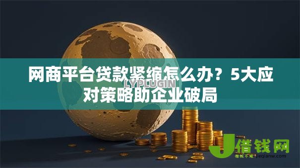 网商平台贷款紧缩怎么办？5大应对策略助企业破局