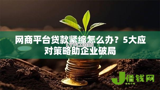 网商平台贷款紧缩怎么办？5大应对策略助企业破局