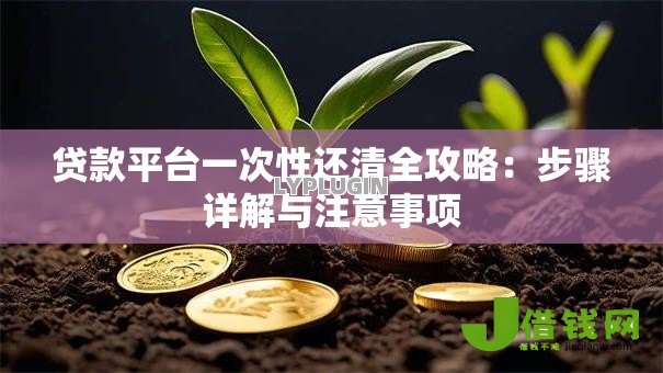 贷款平台一次性还清全攻略:步骤详解与注意事项 贷款平台一次性还清全攻略:步骤详解与注意事项