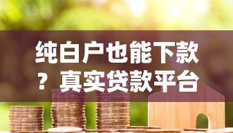 纯白户也能下款？真实贷款平台推荐及技巧