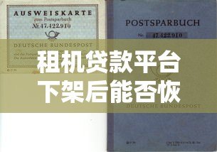 租机贷款平台下架后能否恢复？用户如何应对风险与选择替代方案