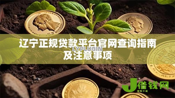 辽宁正规贷款平台官网查询指南及注意事项