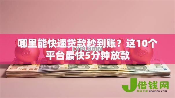 哪里能快速贷款秒到账？这10个平台最快5分钟放款