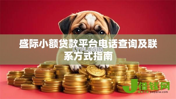 盛际小额贷款平台电话查询及联系方式指南