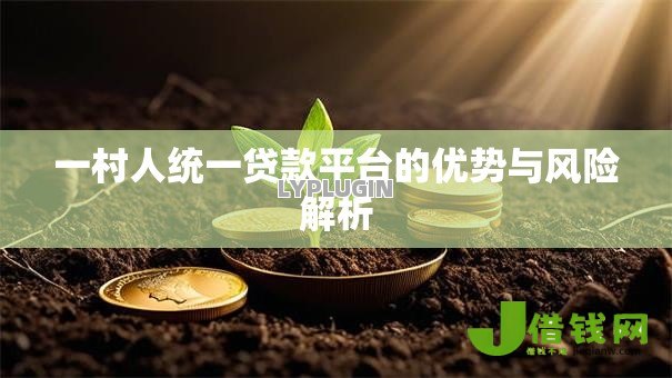 一村人统一贷款平台的优势与风险解析 一村人统一贷款平台的优势与风险解析