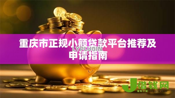 重庆市正规小额贷款平台推荐及申请指南