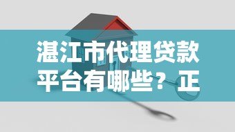 湛江市代理贷款平台有哪些？正规机构推荐及选择指南