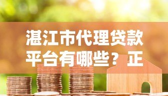 湛江市代理贷款平台有哪些？正规机构推荐及选择指南