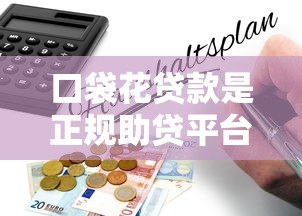 口袋花贷款是正规助贷平台吗？安全使用指南与风险解析