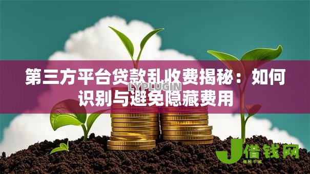 第三方平台贷款乱收费揭秘:如何识别与避免隐藏费用 第三方平台贷款乱收费揭秘:如何识别与避免隐藏费用