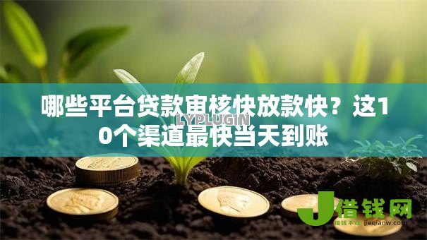 哪些平台贷款审核快放款快？这10个渠道最快当天到账