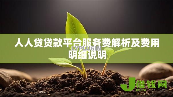 人人贷贷款平台服务费解析及费用明细说明