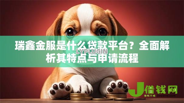 瑞鑫金服是什么贷款平台？全面解析其特点与申请流程