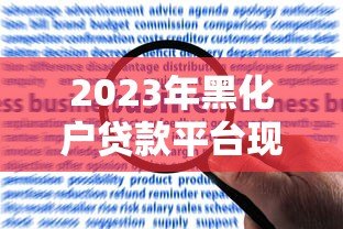 2023年黑化户贷款平台现状解析：风险、选择与应对策略
