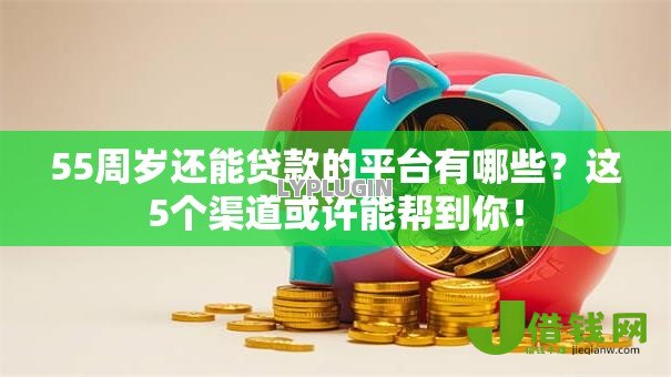 55周岁还能贷款的平台有哪些？这5个渠道或许能帮到你！
