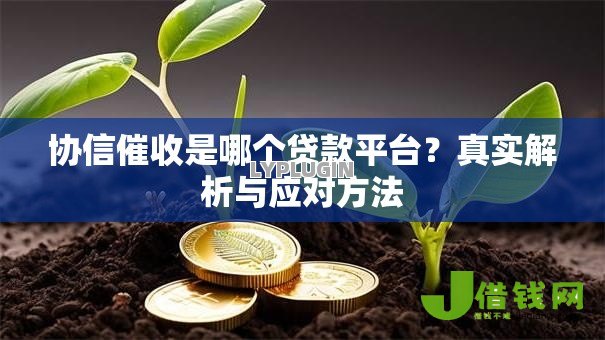 协信催收是哪个贷款平台？真实解析与应对方法