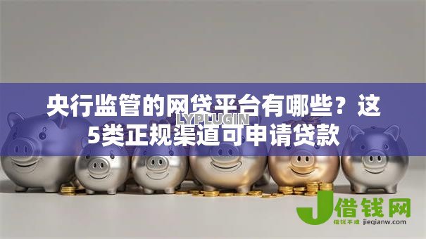 央行监管的网贷平台有哪些？这5类正规渠道可申请贷款