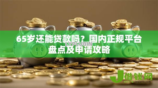 65岁还能贷款吗？国内正规平台盘点及申请攻略