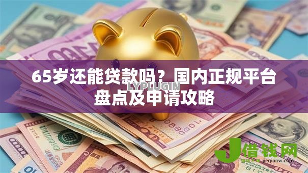 65岁还能贷款吗？国内正规平台盘点及申请攻略