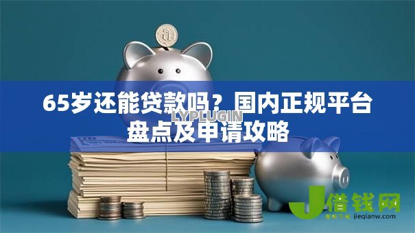 65岁还能贷款吗？国内正规平台盘点及申请攻略