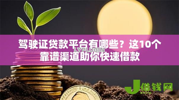 驾驶证贷款平台有哪些？这10个靠谱渠道助你快速借款