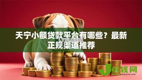 天宁小额贷款平台有哪些？最新正规渠道推荐