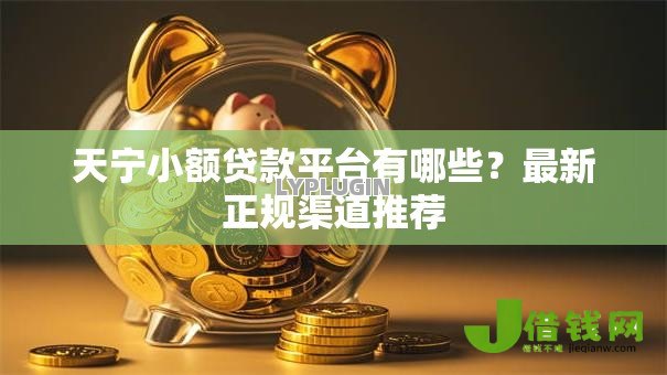 天宁小额贷款平台有哪些？最新正规渠道推荐
