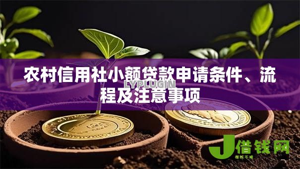 农村信用社小额贷款申请条件、流程及注意事项