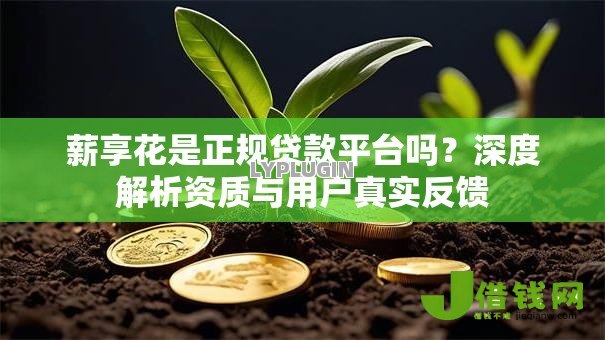 薪享花是正规贷款平台吗？深度解析资质与用户真实反馈