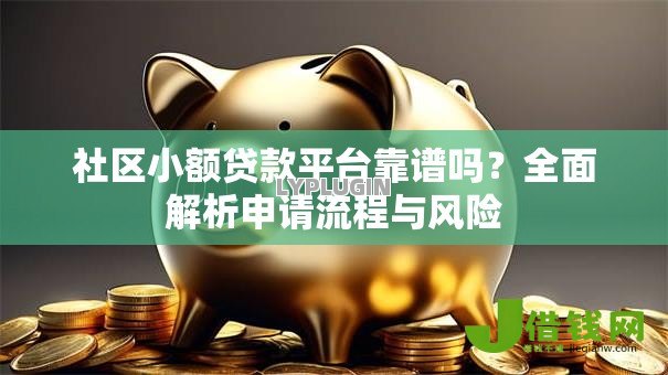 社区小额贷款平台靠谱吗？全面解析申请流程与风险