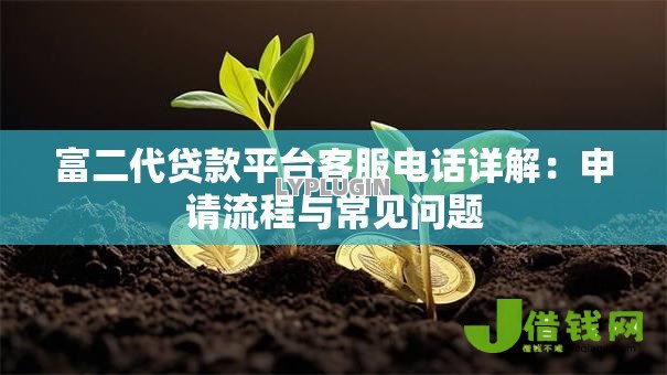 富二代贷款平台客服电话详解：申请流程与常见问题