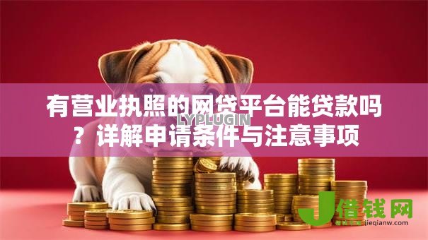 有营业执照的网贷平台能贷款吗？详解申请条件与注意事项