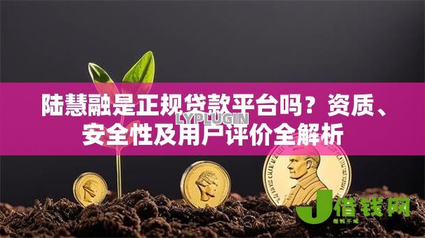 陆慧融是正规贷款平台吗？资质、安全性及用户评价全解析