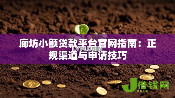 廊坊小额贷款平台官网指南:正规渠道与申请技巧 廊坊小额贷款平台官网指南:正规渠道与申请技巧