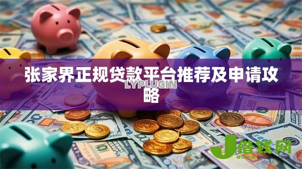 张家界正规贷款平台推荐及申请攻略